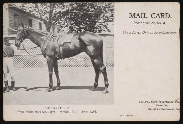 A postcard of The Grafter, winner of the 1898 Melbourne Cup, with his jockey wearing the Forrester colours. Forrester also won the Cup the previous year with Gaulus.